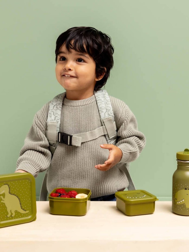 3er-Set Kinder Bdose Snackbox TRIXIE
