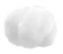 PA8C00011446-6.webp