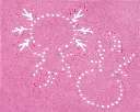 PA8C00012996-5.webp