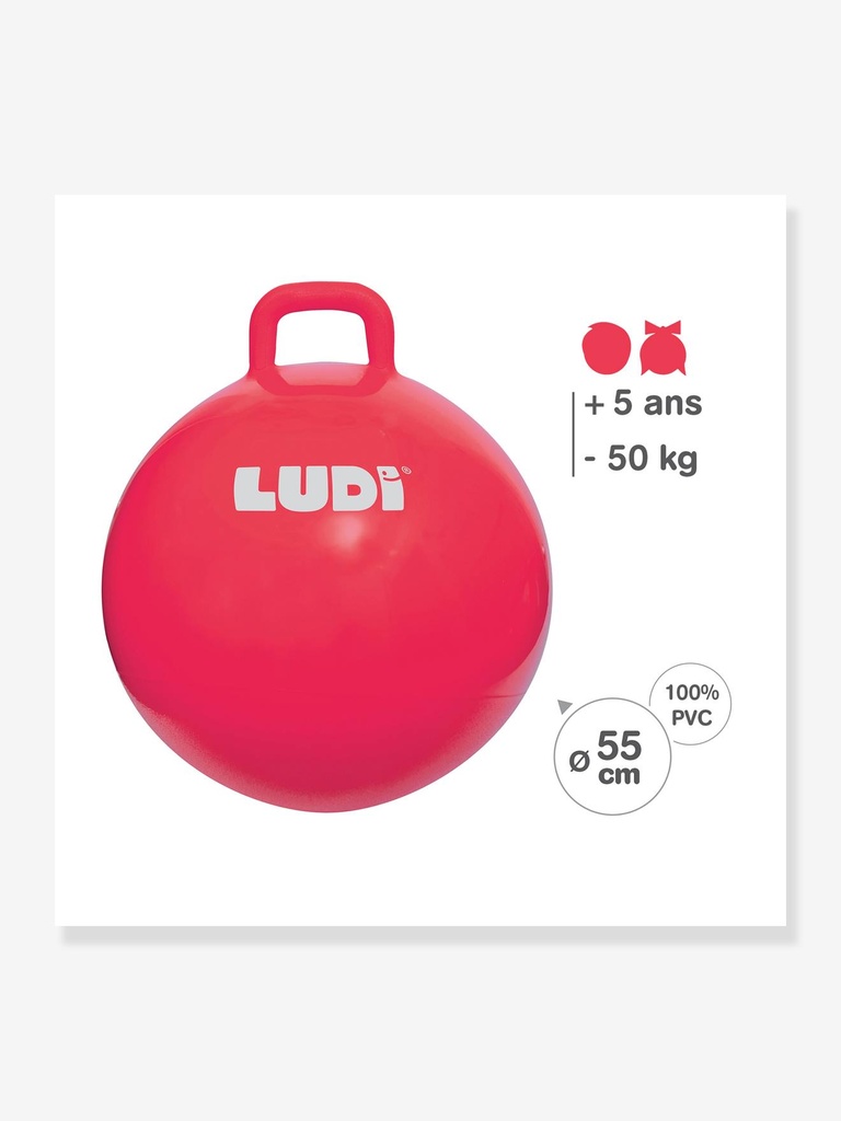 Kinder XXL-Hüpfball LUDI
