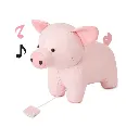 302504.webp