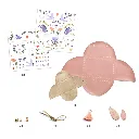 RA3A00000886-2.webp