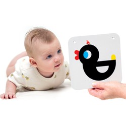 High Contrast Baby Cards 0m+ 3m+ Flash Cards (Cards)