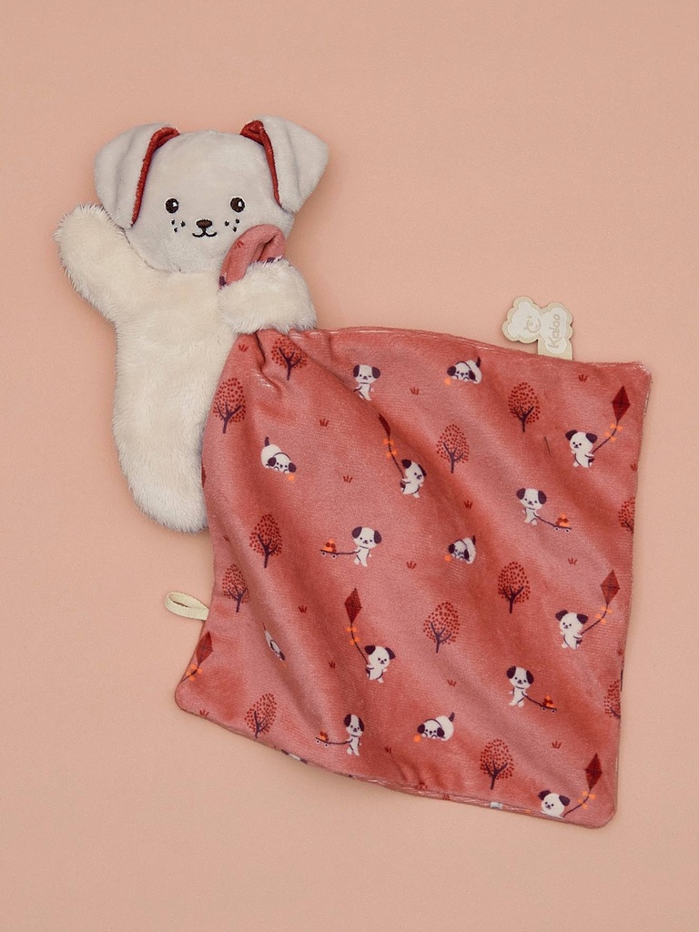 Baby Plüsch-Hase Mit Schmusetuch Kaloo