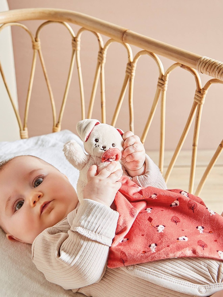 Baby Plüsch-Hase Mit Schmusetuch Kaloo