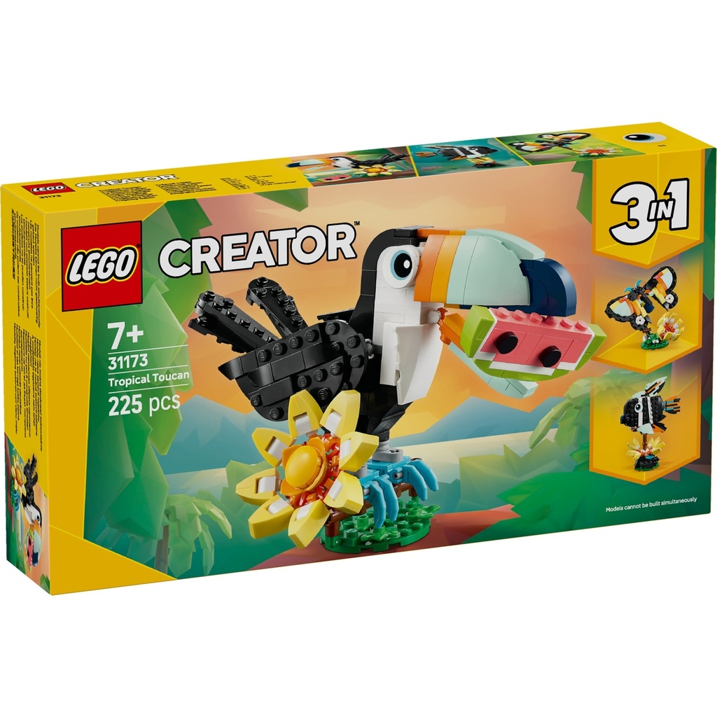 Wild Animals: Tropical Toucan
