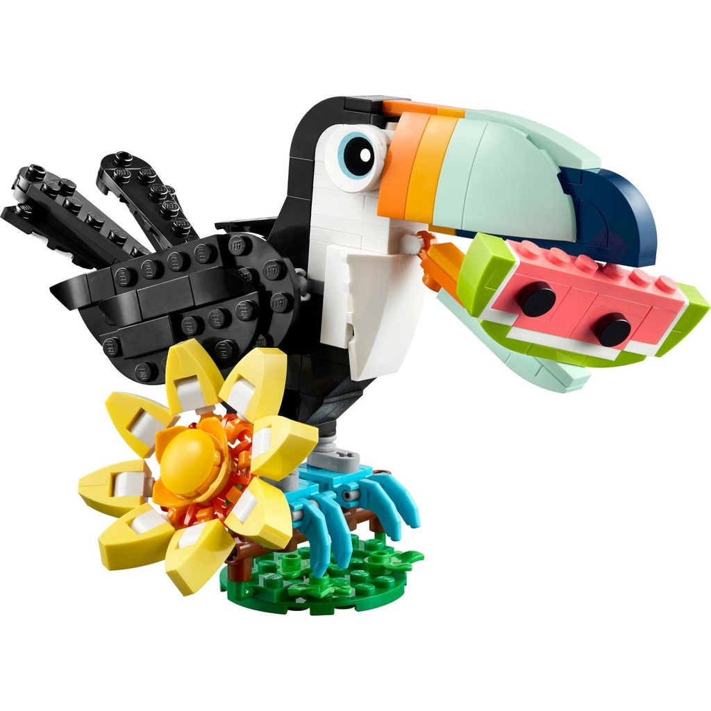 Wild Animals: Tropical Toucan