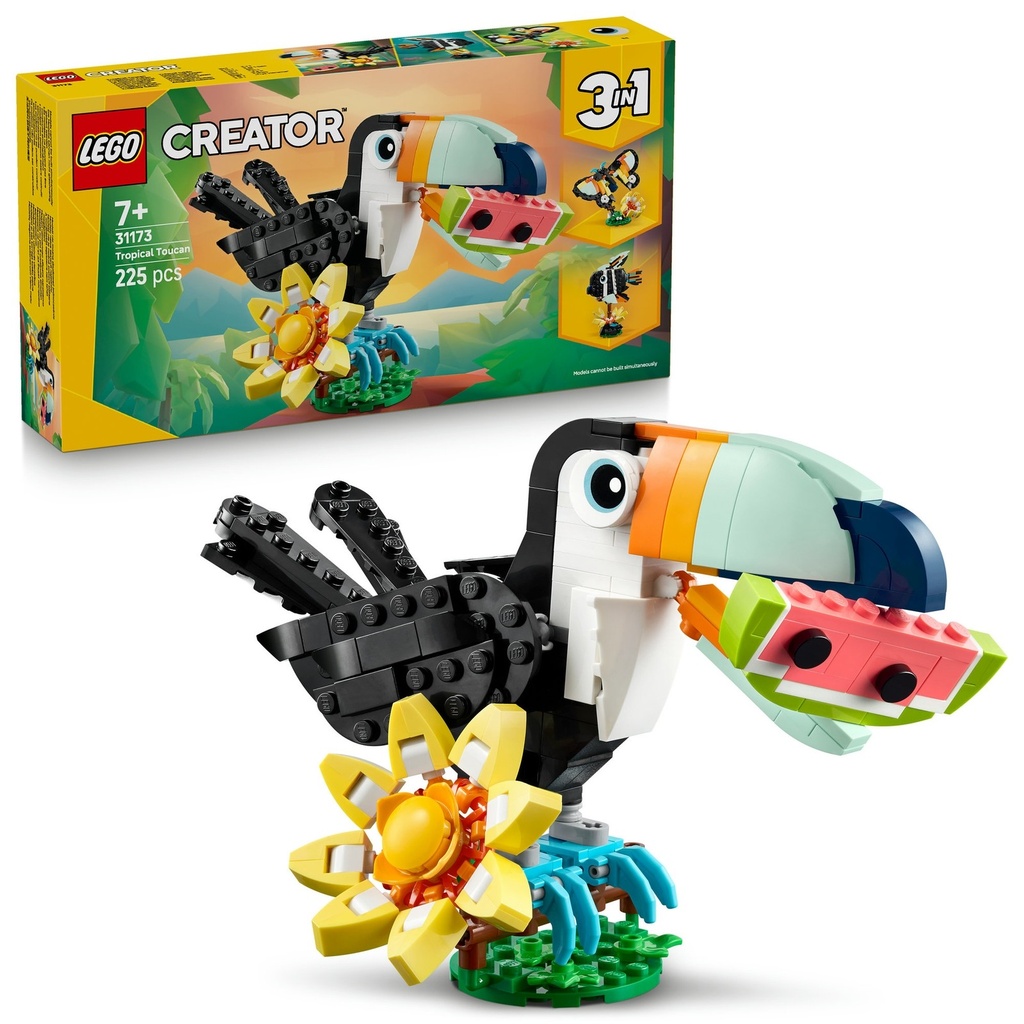 Wild Animals: Tropical Toucan