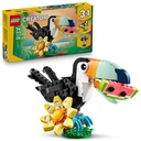 Wild Animals: Tropical Toucan