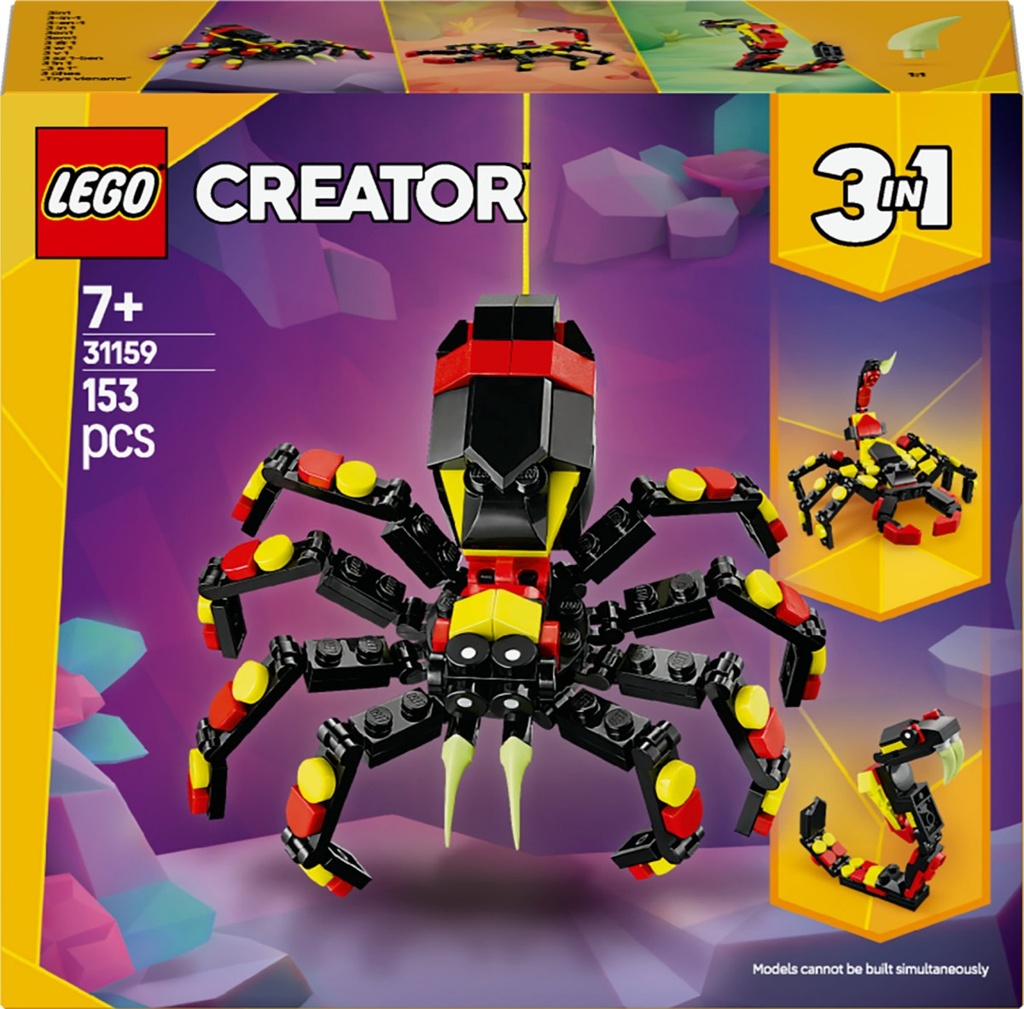 Fauna Salvaje: Araña Misteriosa - 31159