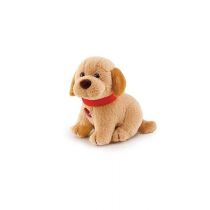 Sweet Collection Labrador Trudi