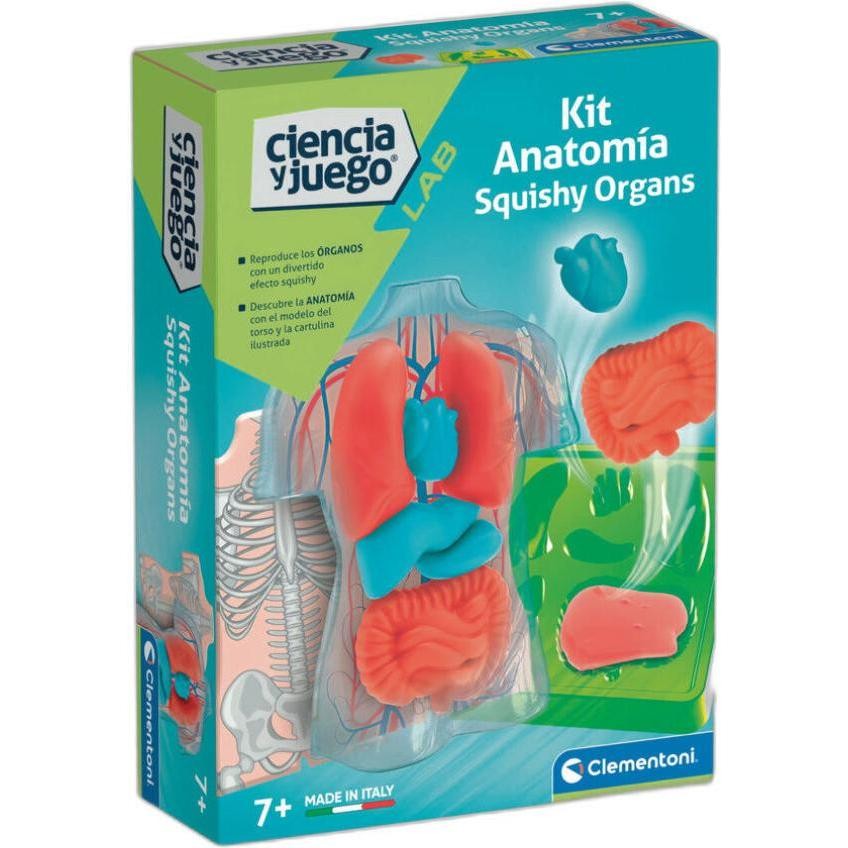 Kit Anatomía Squishy