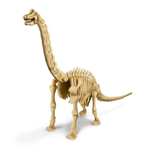 Desenterrar a Brachiosaurus