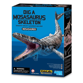 Desenterrando a Mosasaurus Skeleton