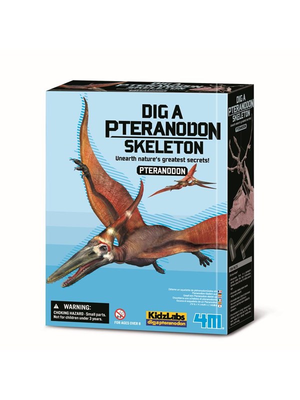 Desenterrando a Pteranodon Skeleton