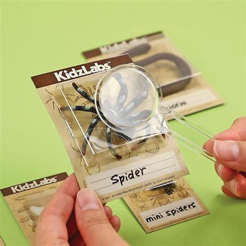 Escarbar Insectos Creepy 