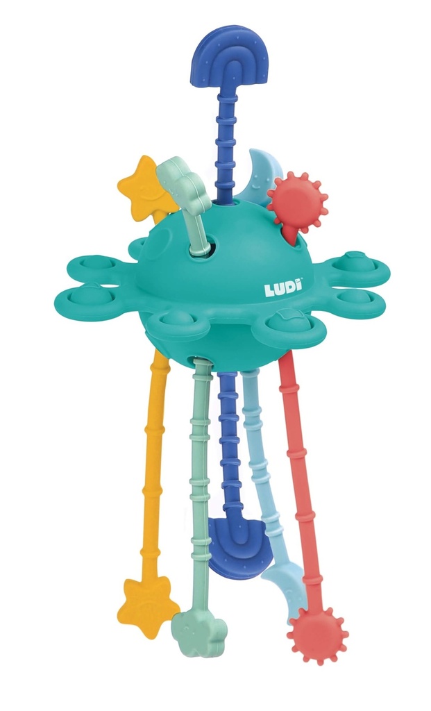 LUDI - Zippy Toy - Multisensory Stimulation Toy - Different Textures - Ergonomic - Soft Material - from 10 Months - Relieves Dental Thrust - Dexterity