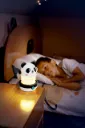 Luz de Panda